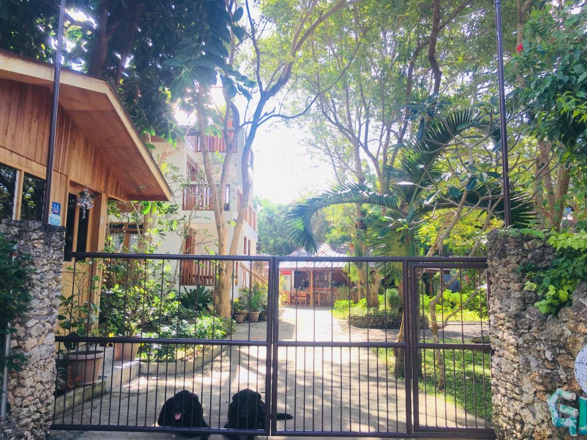 Pahiluna Guesthouse Panglao Eksteriør billede