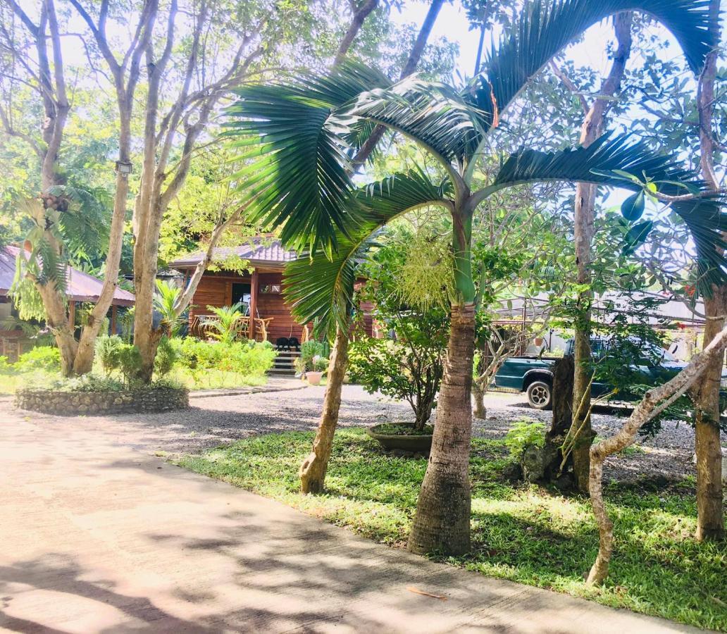 Pahiluna Guesthouse Panglao Eksteriør billede
